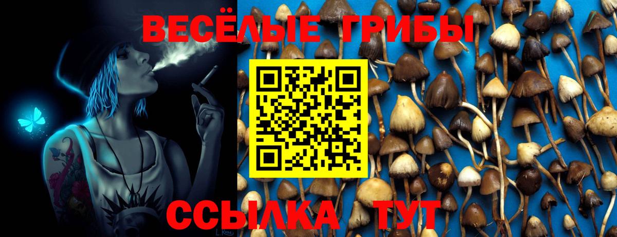 Галлюциногенные грибы GOLDEN TEACHER Элиста